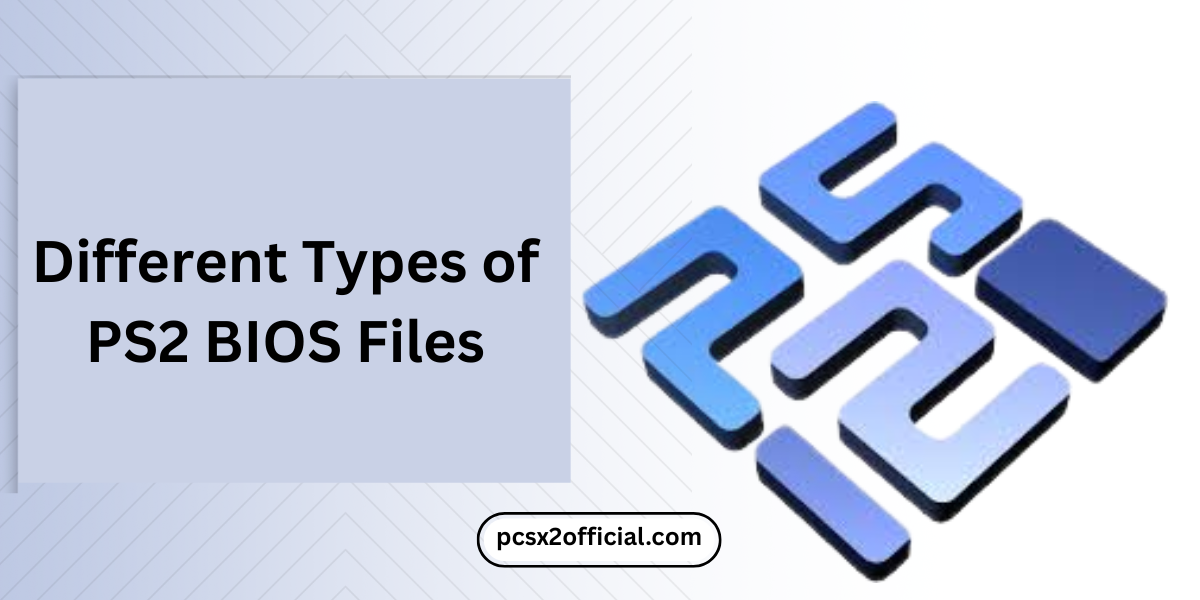 Different Types of PS2 BIOS Files